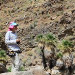 woman in a hat standing in the desert looking at palm trees