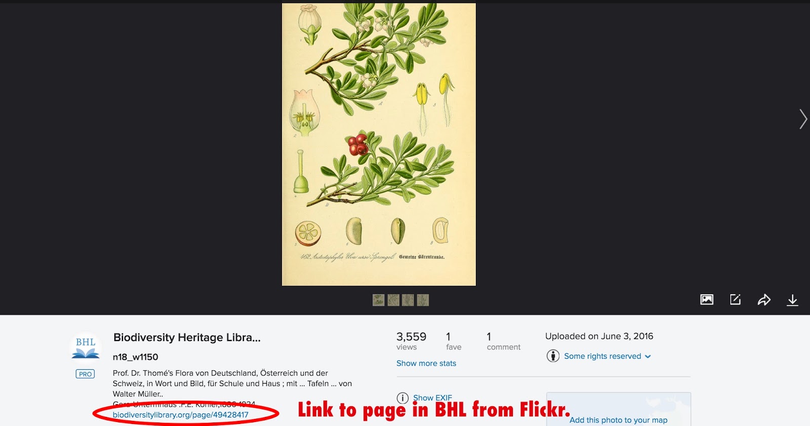 View Full Size Image