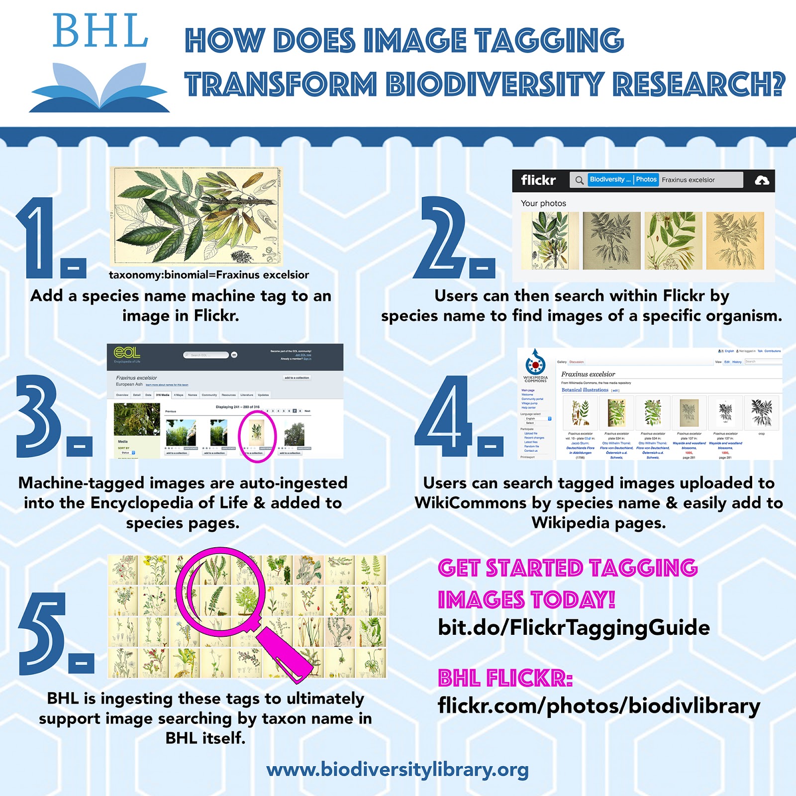 View Full Size Image