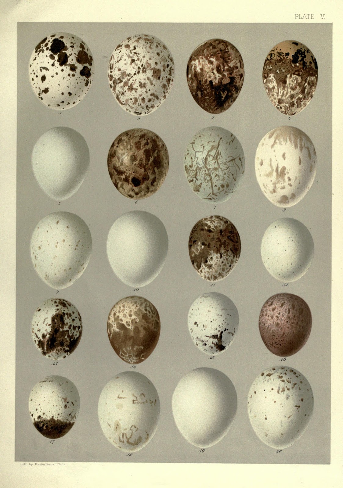 View Full Size Image