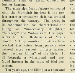 View Full Size Image