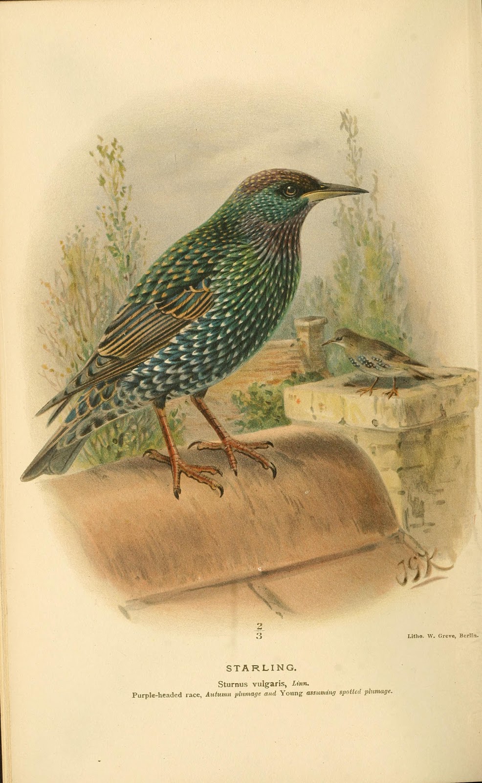 View Full Size Image