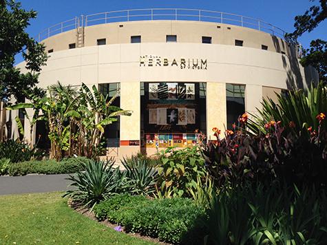 Tree Change For The Biodiversity Heritage Library Australia