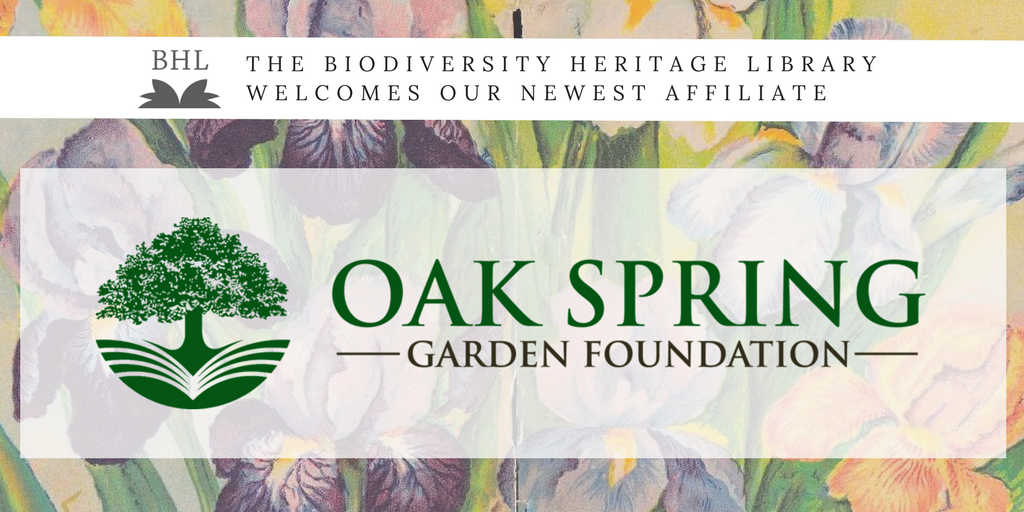 Oak Spring Garden Foundation