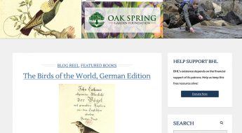 screenshot of the bhl blog homepage