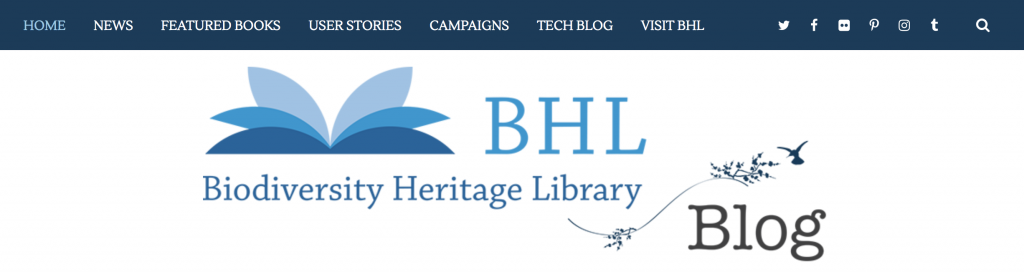 top menu for the bhl blog