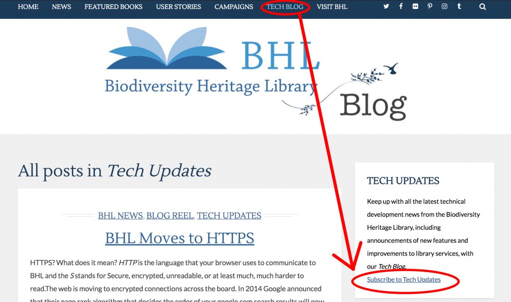 graphic showing how to subscribe to an rss feed on the bhl blog