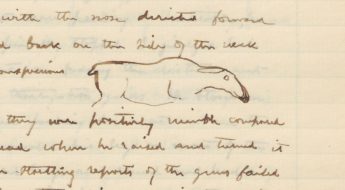 handwritten text on a page with a drawing of a moose