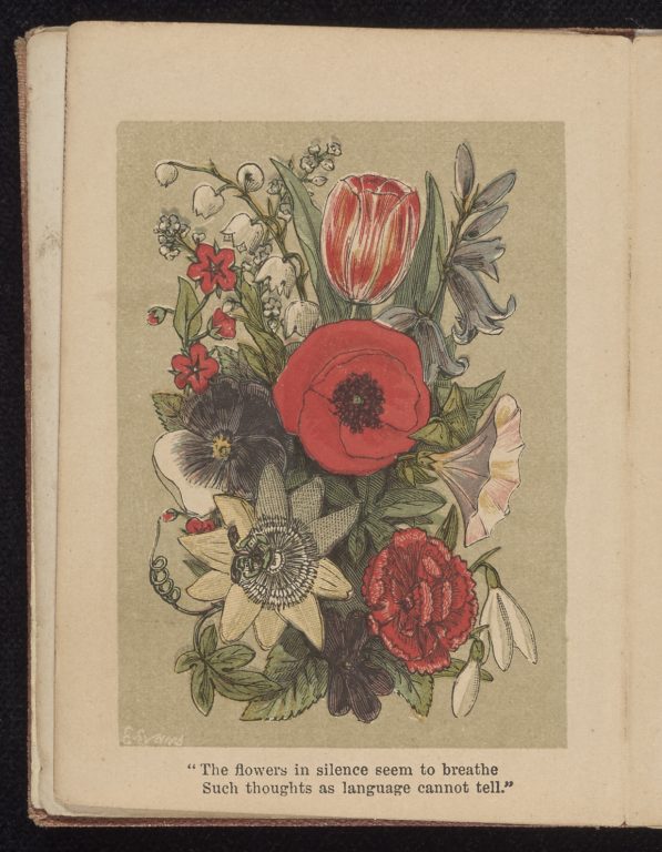 Language Of Flowers: 19th Century Literary Genre Offered Opportunities 