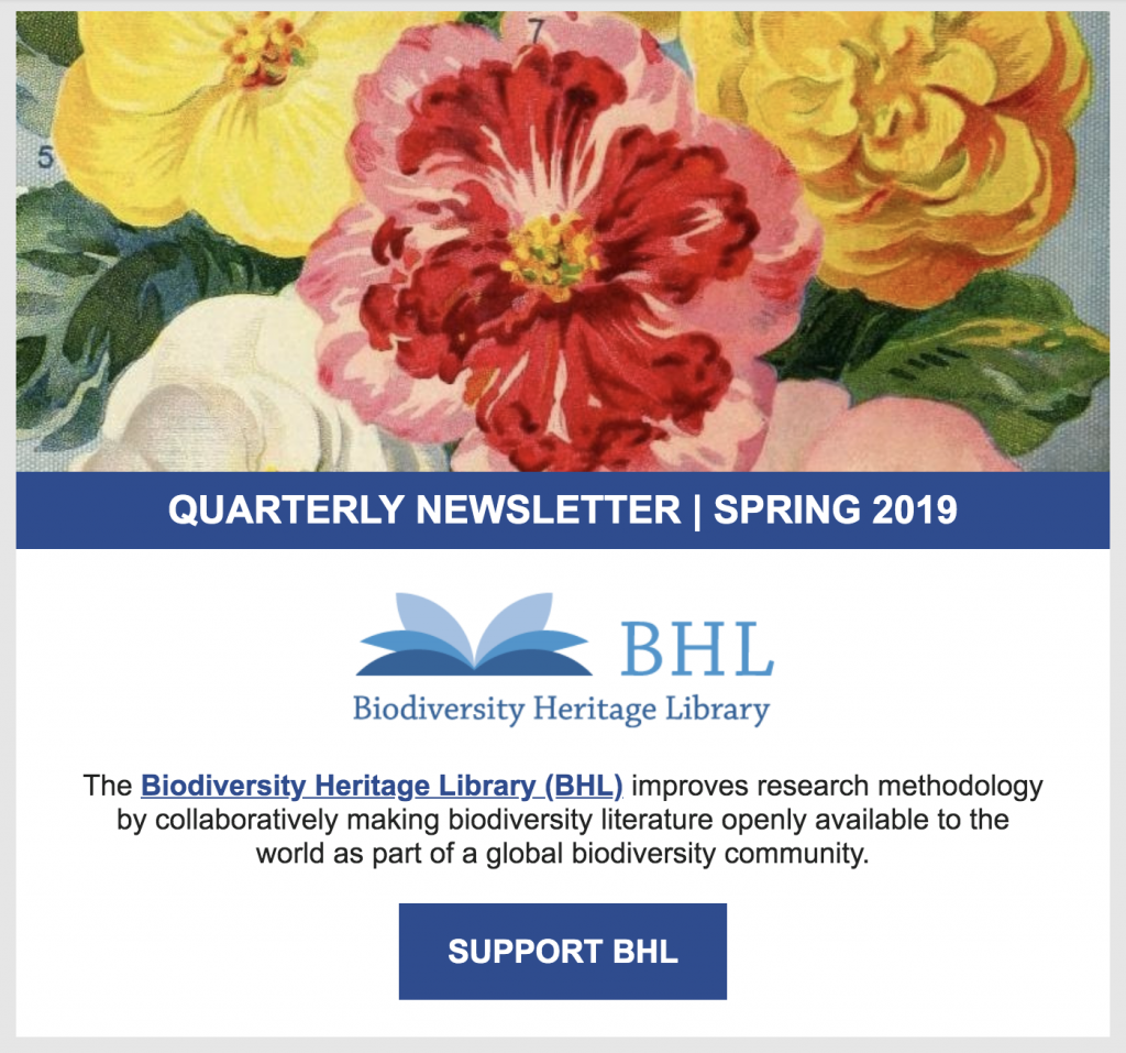 screenshot of the 2019 spring BHL newsletter