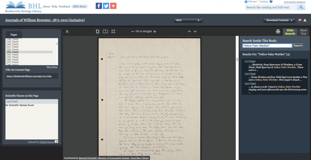 Screenshot of a book viewer with digitized archival materials and full-text search for "Yellow Palm Warbler".