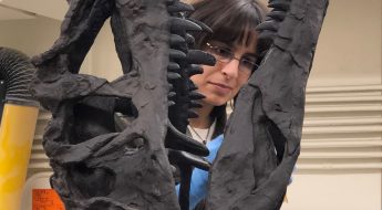 Woman working on a dinosaur skull specimen