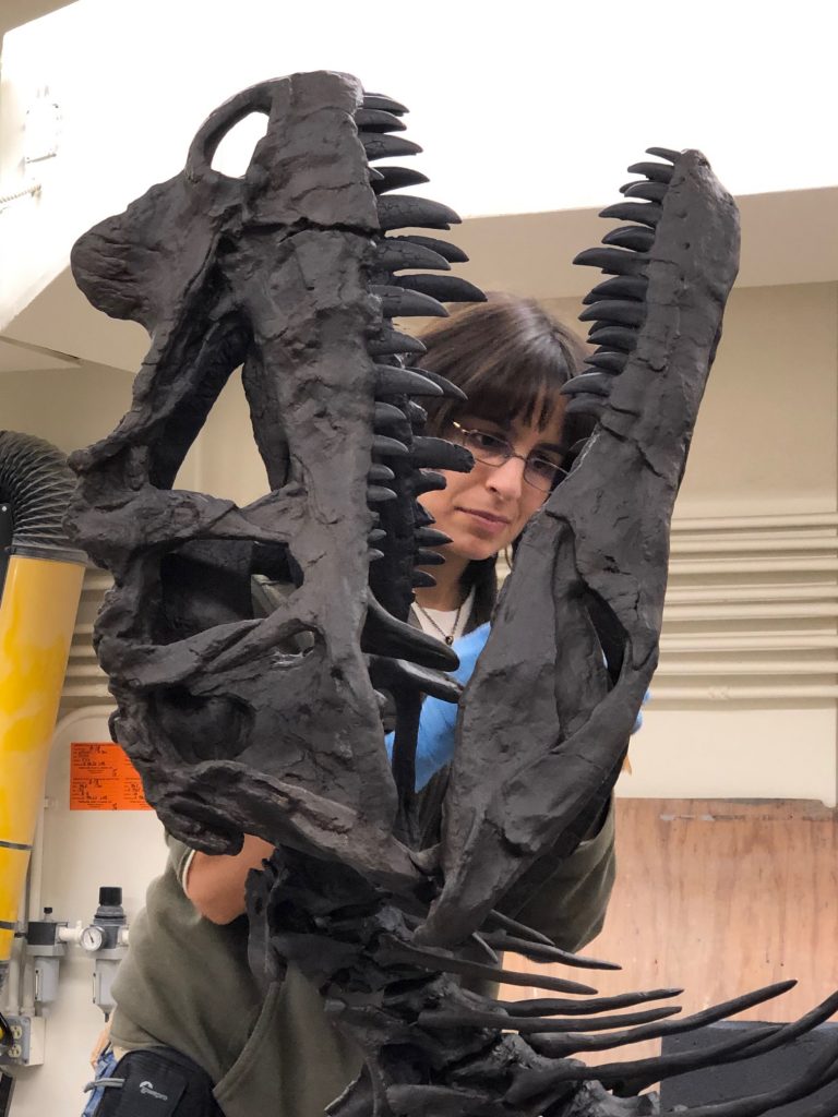 Woman working on a dinosaur skull specimen