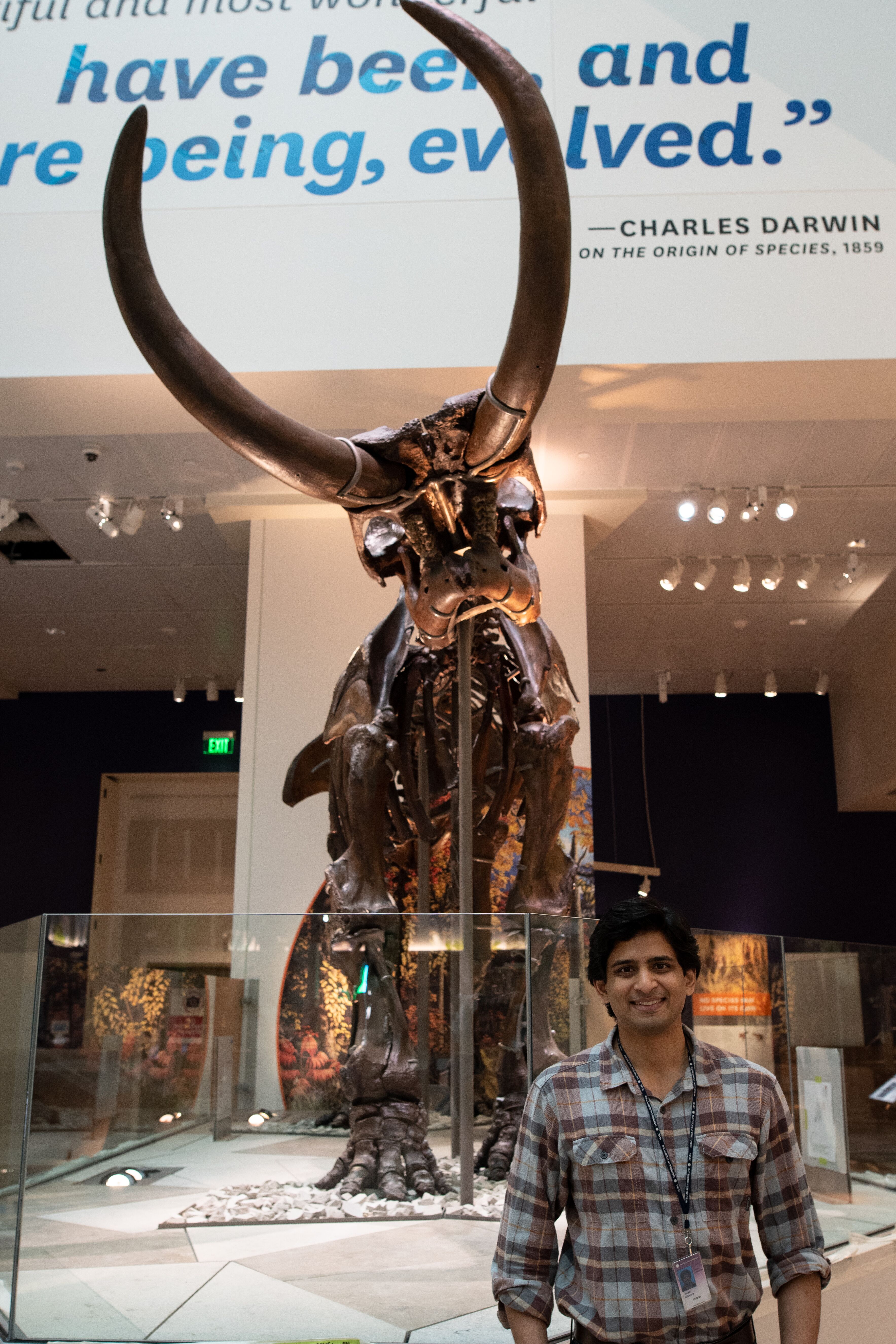 Man standing in front of a mastodon specimen.