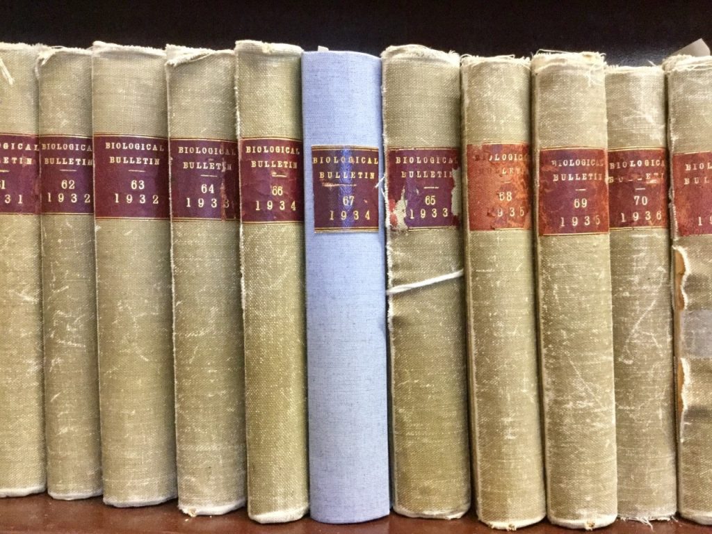 Photo of volumes of the Biological Bulletin on a book shelf.