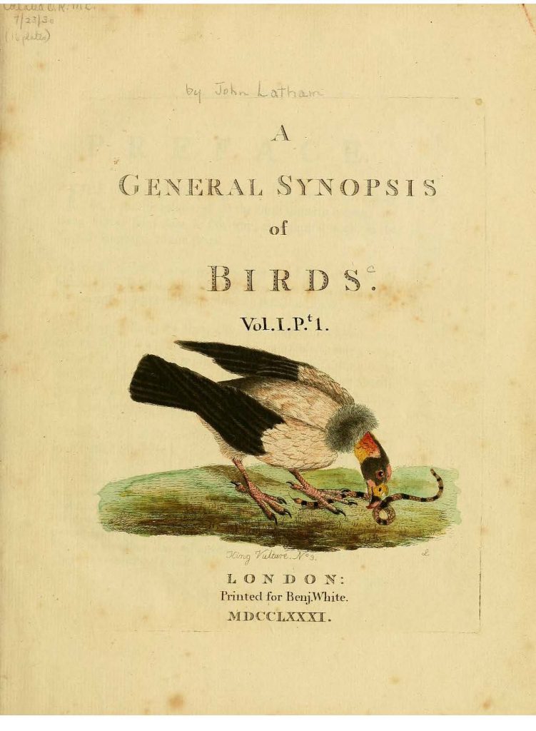 Origins of Australian Ornithology : The Evolution of Australia’s Bird ...