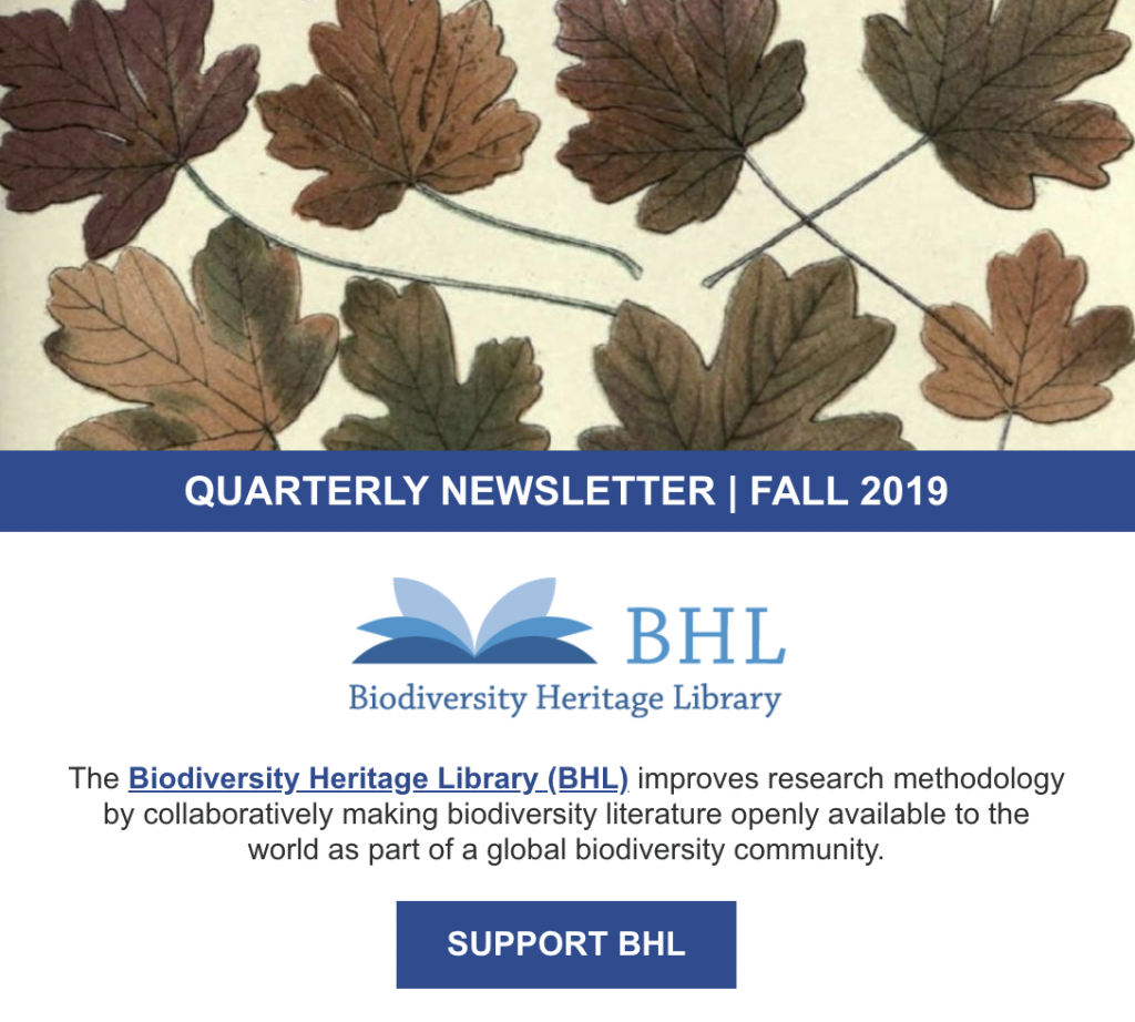 screenshot of the fall 2019 BHL newsletter
