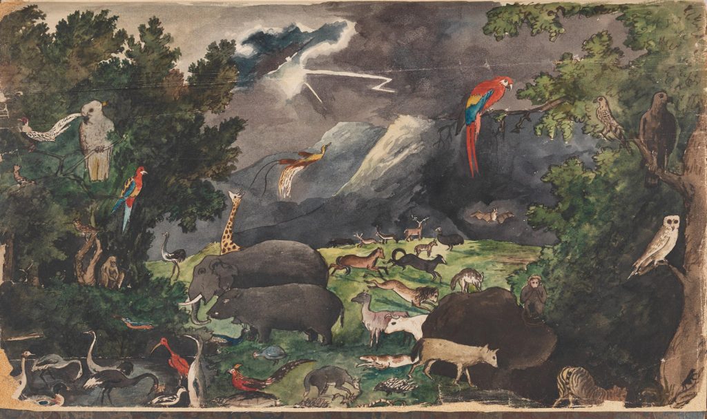 illustration of a variety of animals together in a single scene