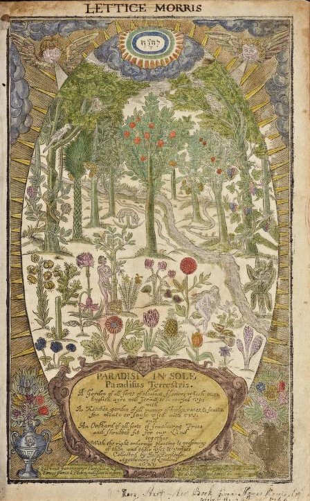 illustrated garden of eden scene