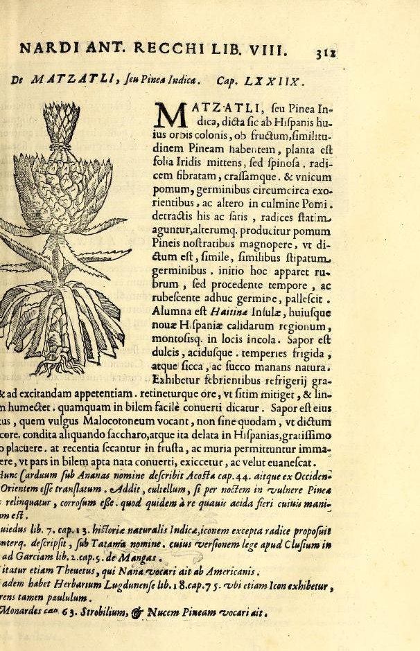 page of a book with text and woodcut of a pineapple