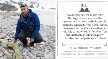Quote from Dr. Nicholas Pyenson about BHL's impact