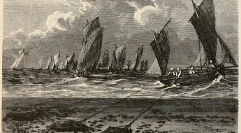 black and white illustration of ships at sea dredging for oysters
