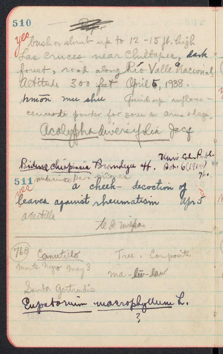 page from a handwritten notebook