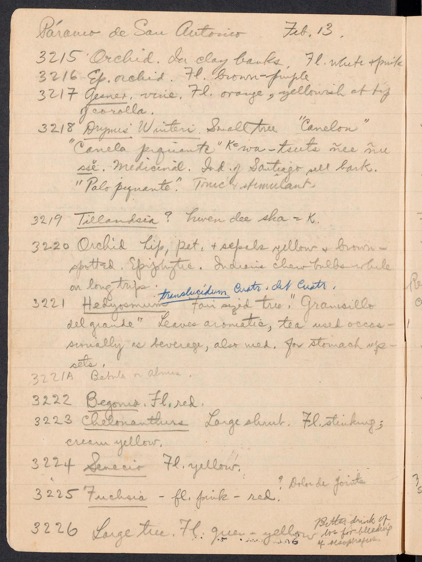 page from a handwritten notebook