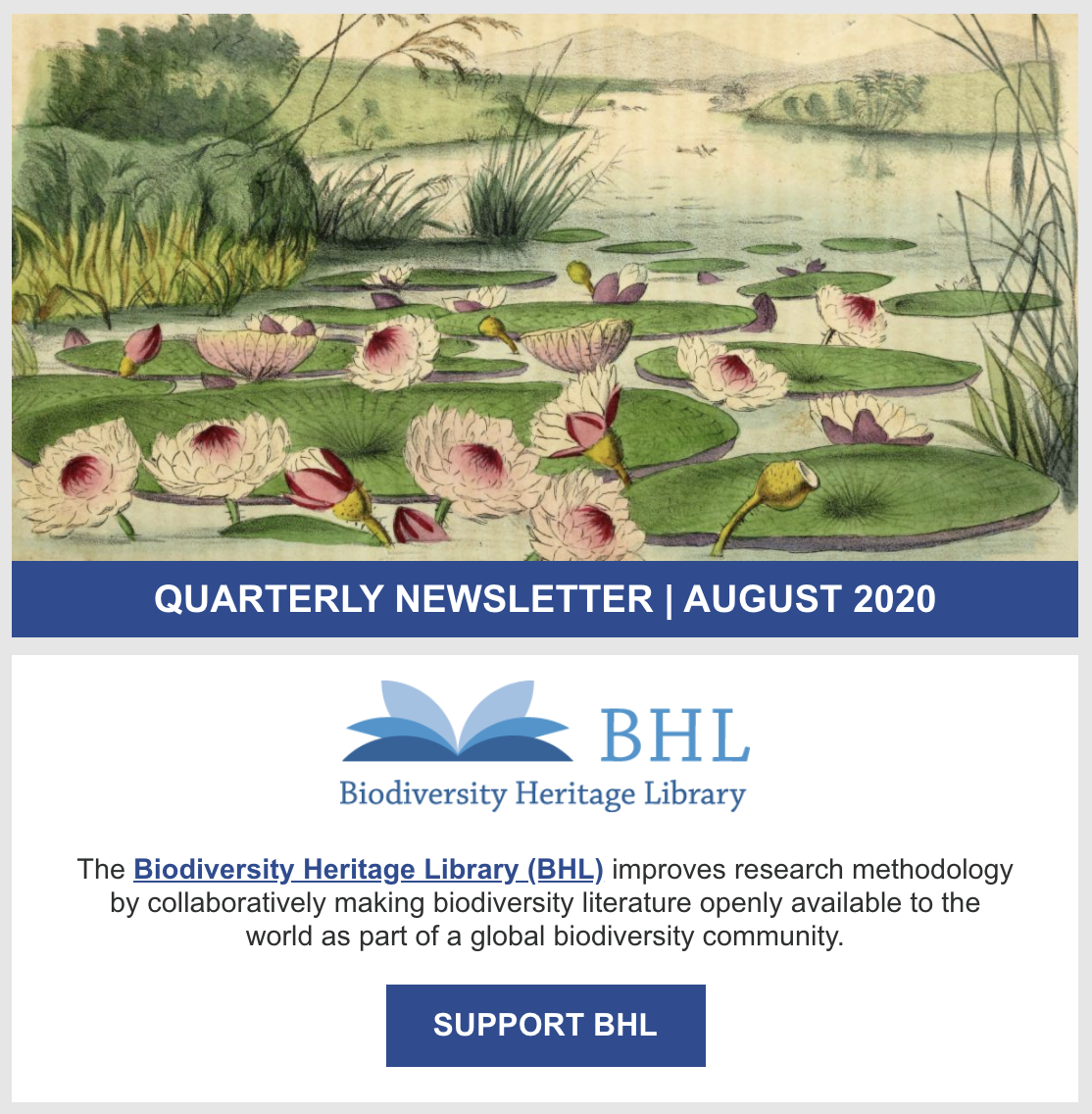 Screenshot of the August 2020 BHL quarterly newsletter