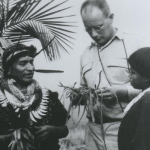 black and white photo of three people standing in a jungle looking at plant specimens