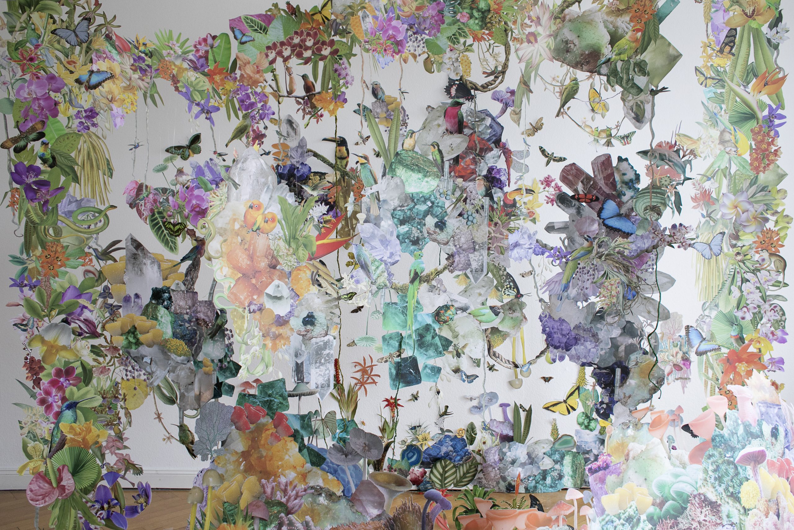 Collage installation art with various biodiversity figures.