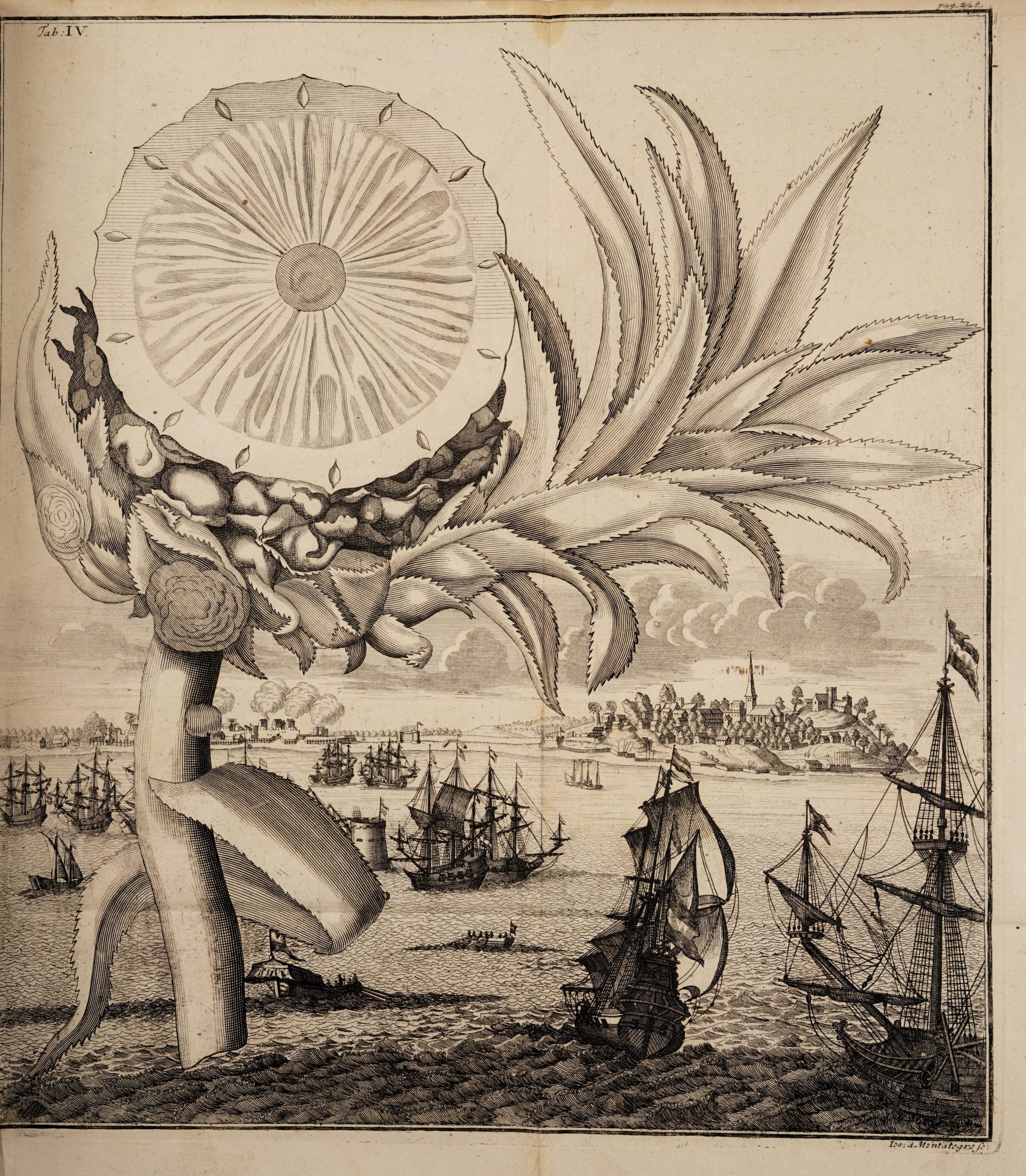 woodcut illustration of a sliced pineapple hovering above ships