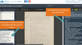 Screenshot of the BHL book viewer with crowdsourced transcriptions available for a handwritten journal.