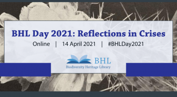 Graphic for BHL Day 2021.