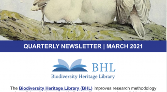 Screenshot of the March 2021 BHL newsletter