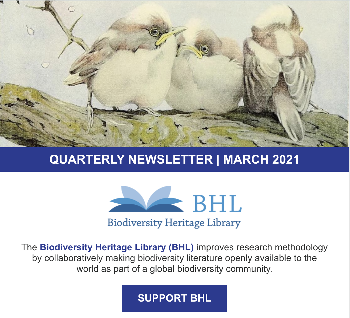 Screenshot of the March 2021 BHL newsletter