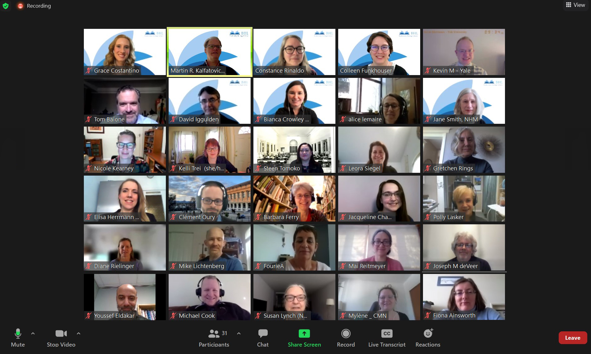 Screenshot of a Zoom meeting interface with a gallery view of people's heads