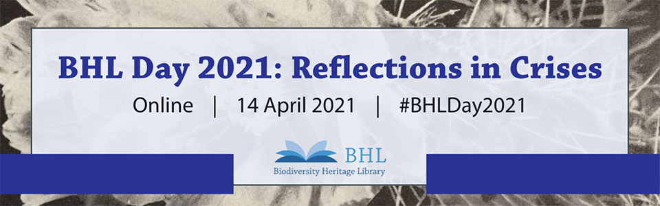 BHL Day 2021 graphic