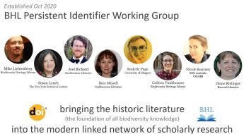 Graphic showing the members of BHL's Persistent Identifier Working Group