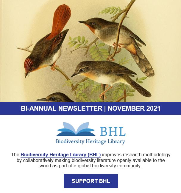 Screenshot of the November 2021 BHL newsletter