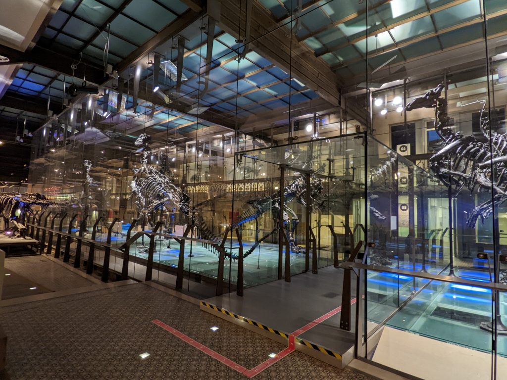 View of the Iguanodon Cage in the Dinosaur Gallery