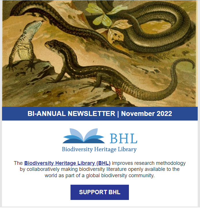 Preview of newsletter header with image of reptiles on rocks