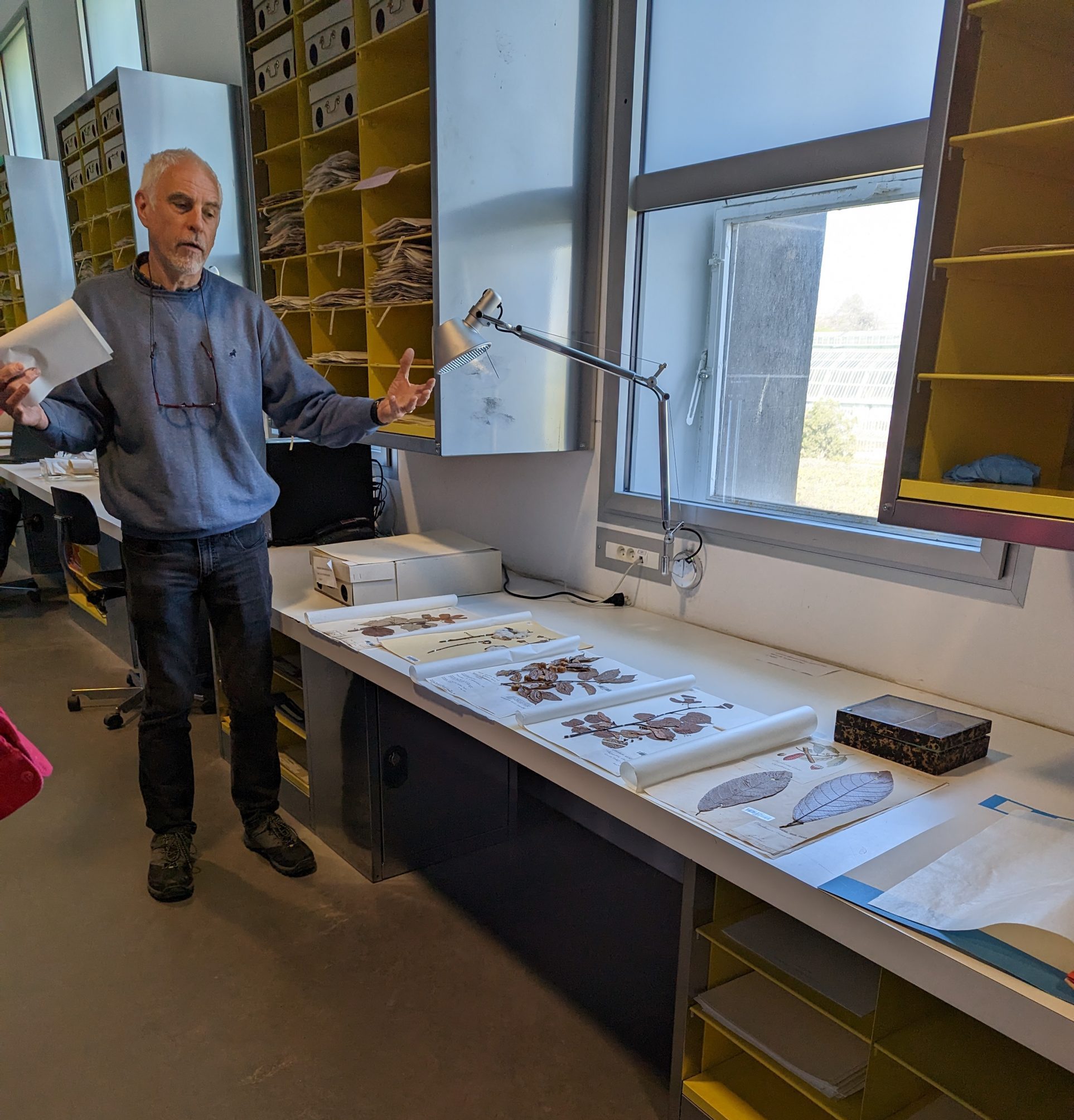 Man stands in front of a selection of herbarium specimen on workbench