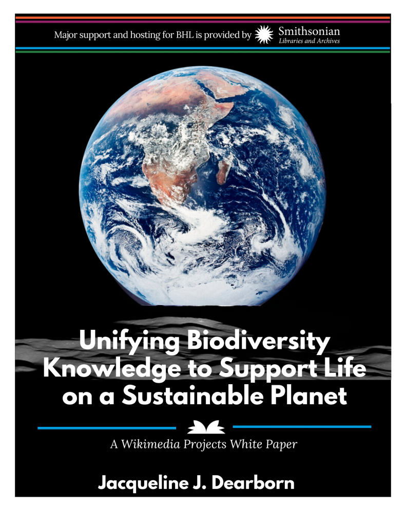 Cover of white paper with image of earth from space