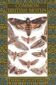 Cover of a book with multiple moth specimens and decorative flower motif border, titled Common British Moths: peeps at nature