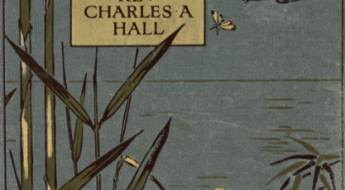 Cover of a book with bamboo, song birds, and insects, titled The Open Book of Nature by Rev Charles A Hall.