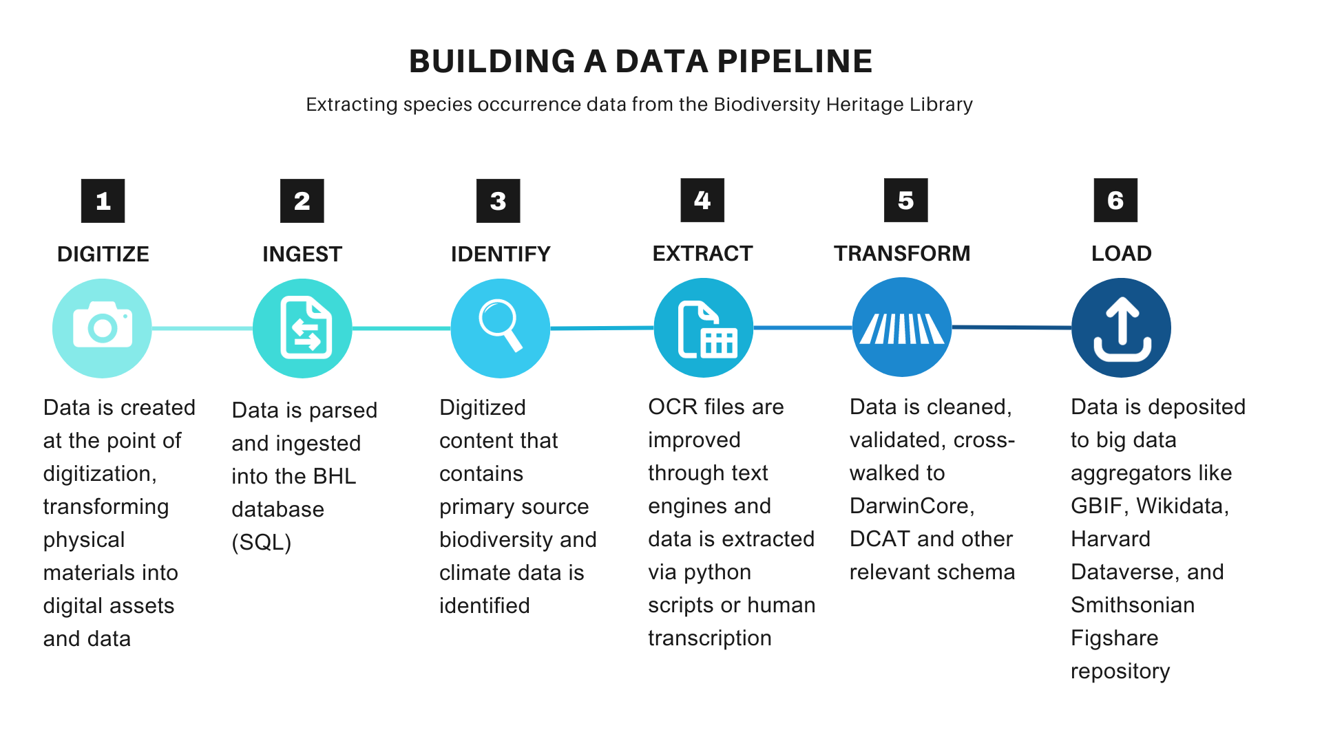 Building a data pipeline: extracting species occurrence data from BHL. 6 steps include: digitize, ingest, identify, extract, transform, and load.