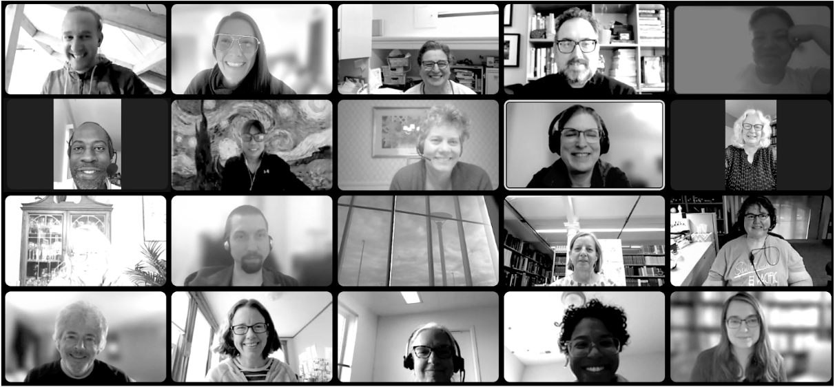 Grid of 20 black and white video screens of committee members on a video conference call