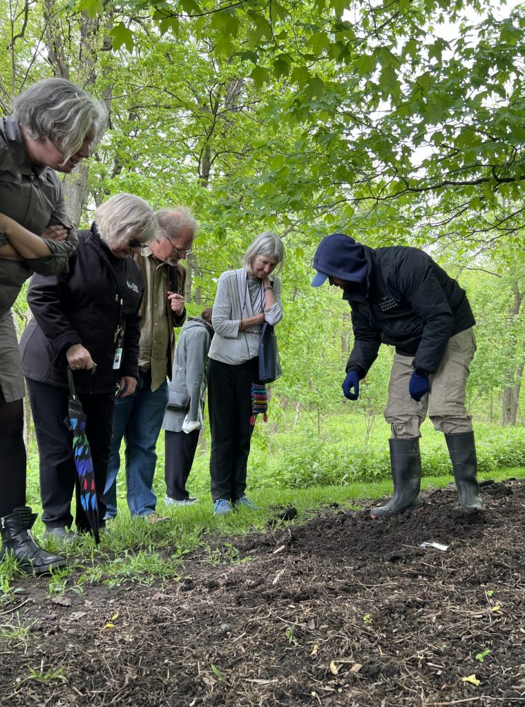 A group of people look at the ground under a tree