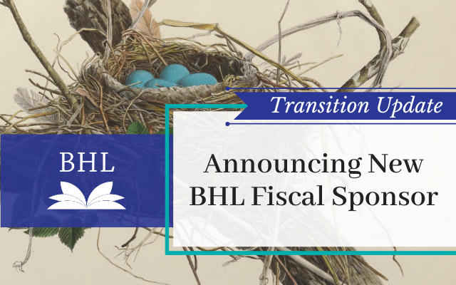BHL Transition Update #4